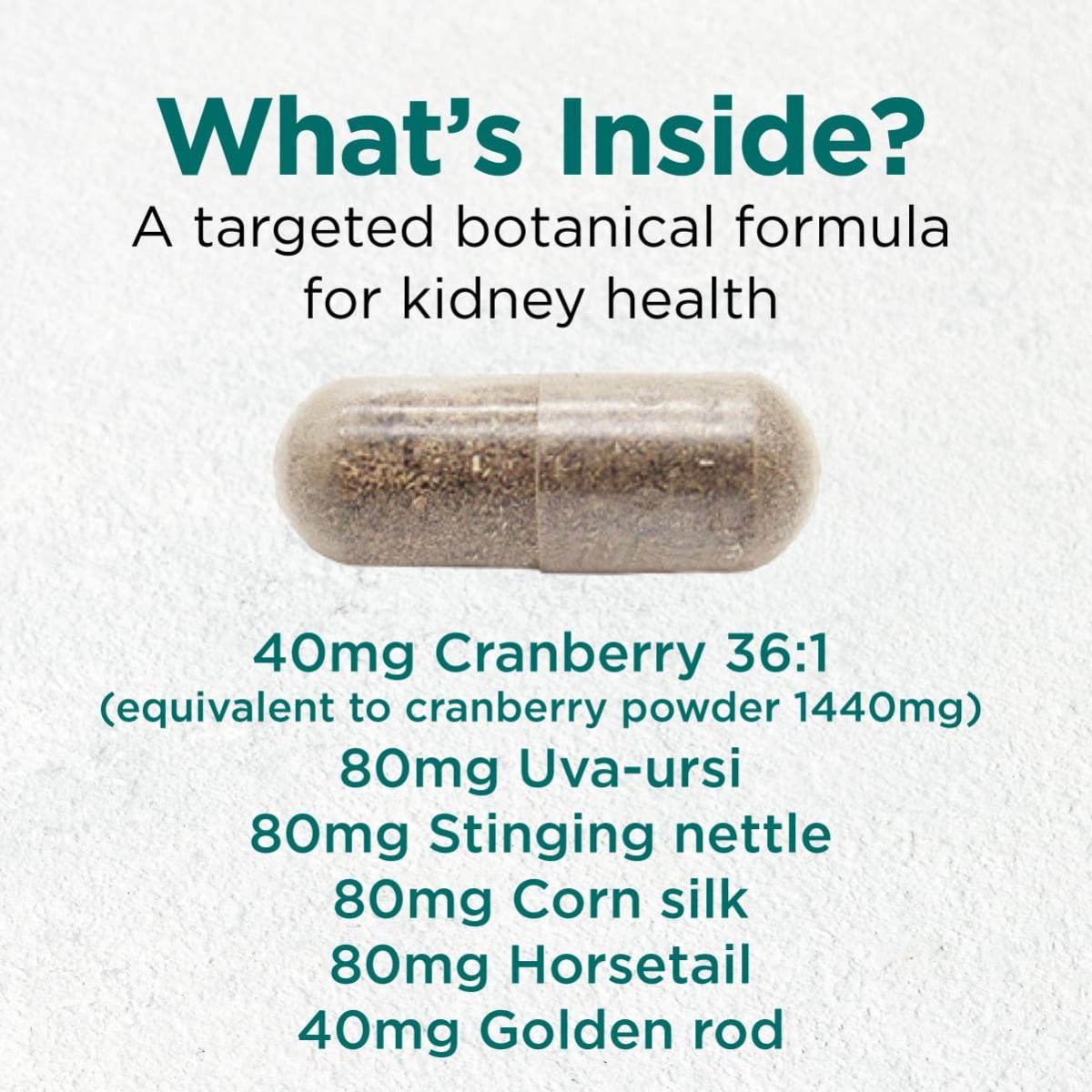 Cytoplan CytoProtect® Kidneys