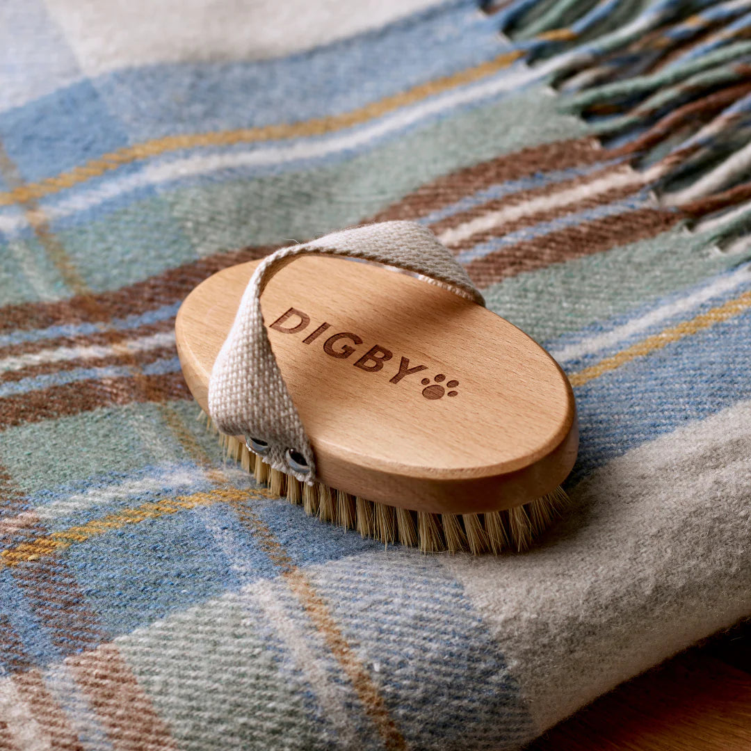 Bramley Digby Dog Brush