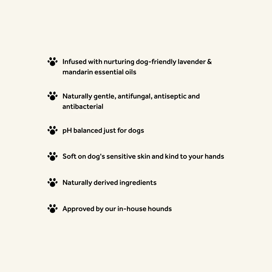 Bramley Digby Dog Wash