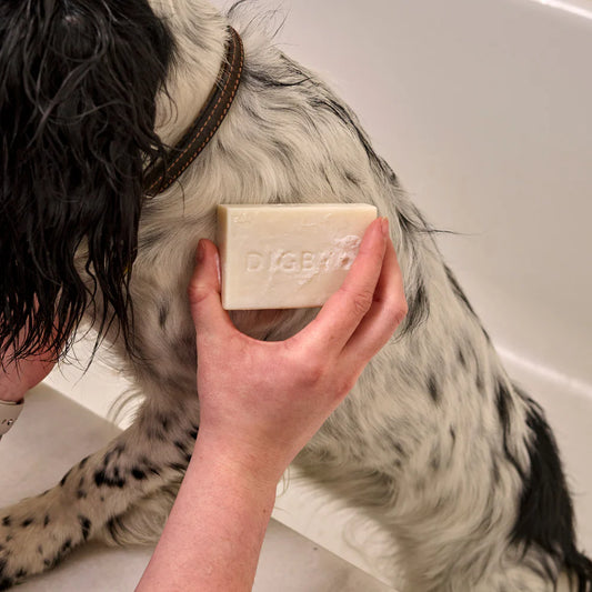 Bramley Digby Shampoo Bar
