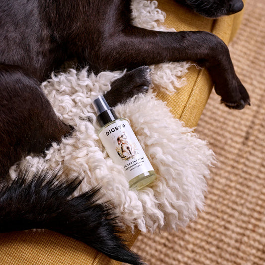 Bramley Digby Soothe Spray