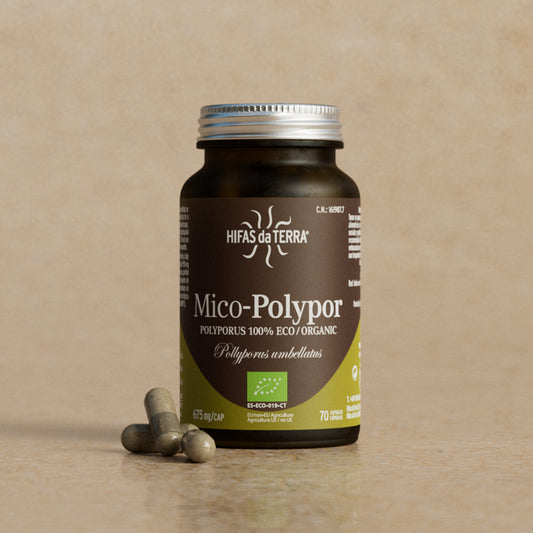 Hifas da Terra Mico-Polypor