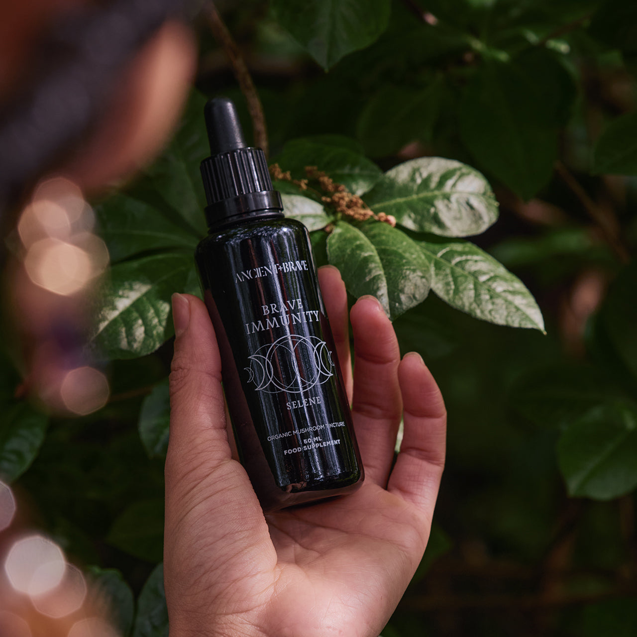 Ancient + Brave Ancient + Brave Immunity Mushroom Tincture