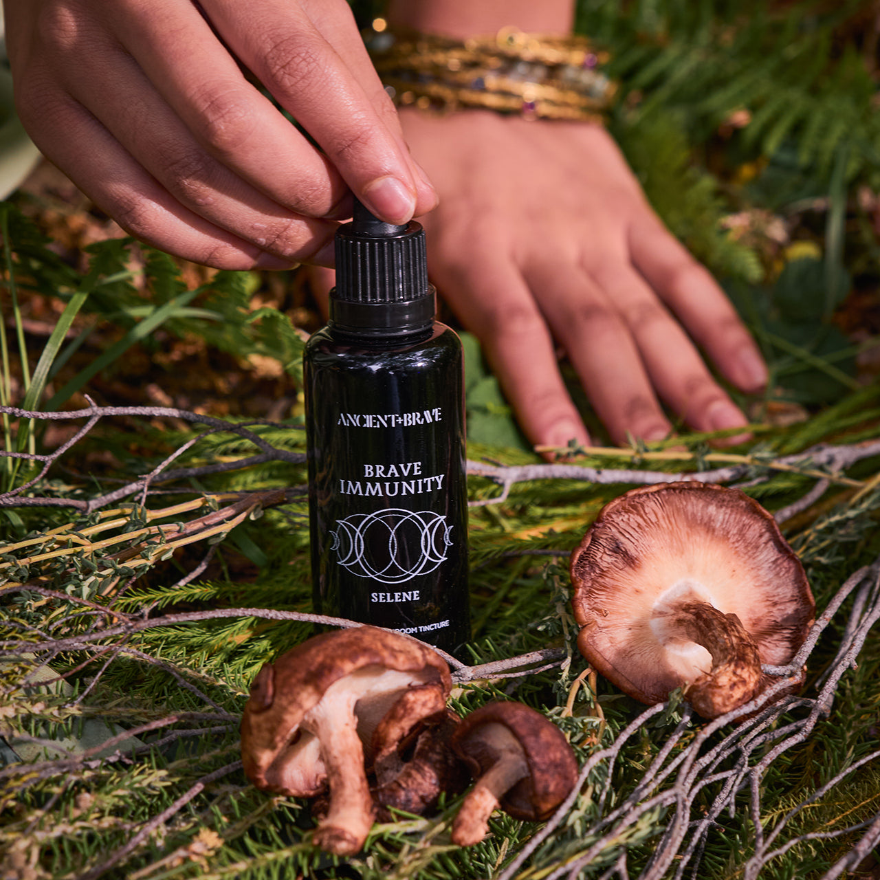 Ancient + Brave Ancient + Brave Immunity Mushroom Tincture