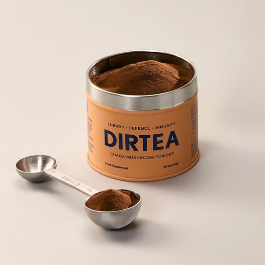 DIRTEA DIRTEA Chaga Mushroom Immunity Powder with Organic B12
