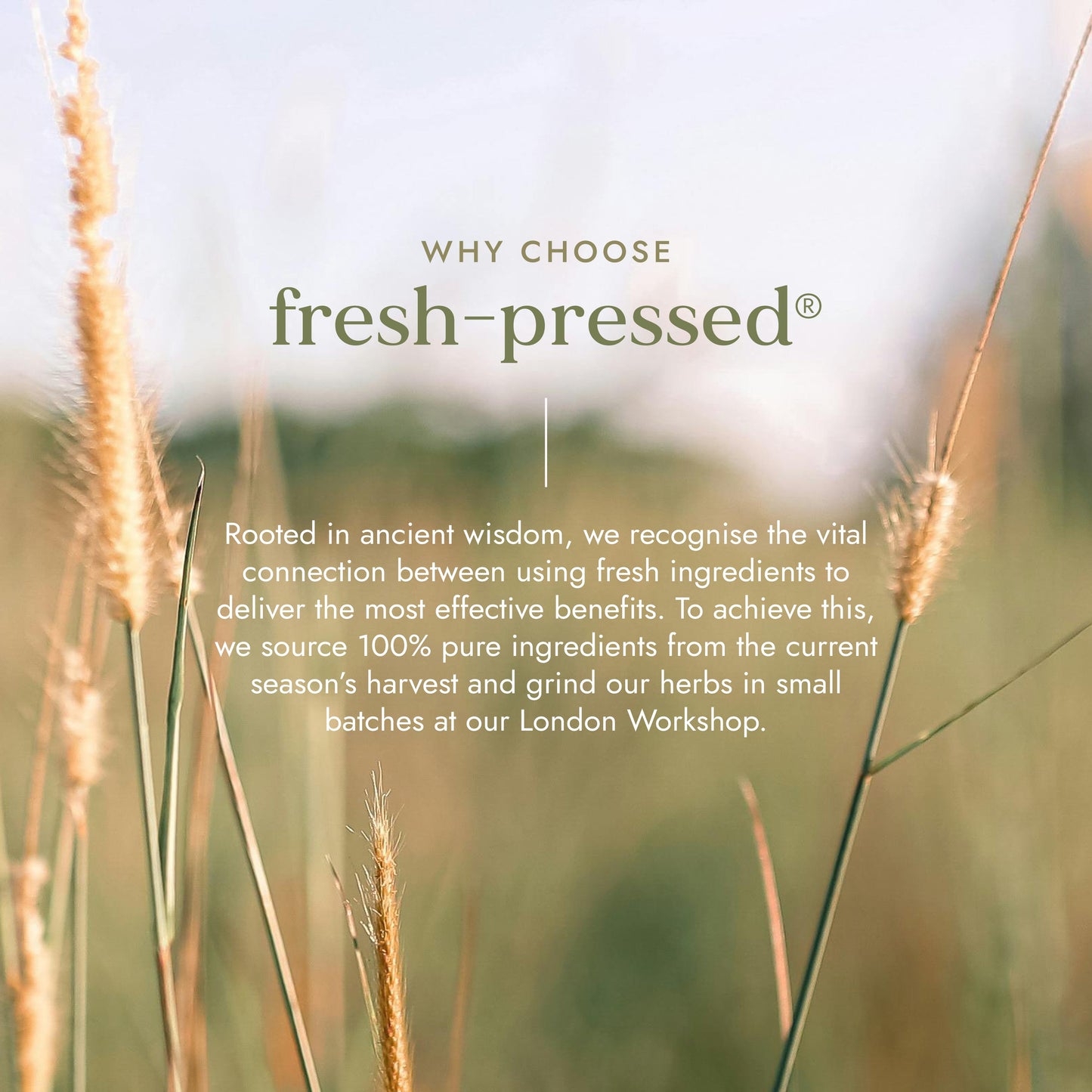 FUSHI Fushi Organic Aloe Vera Juice