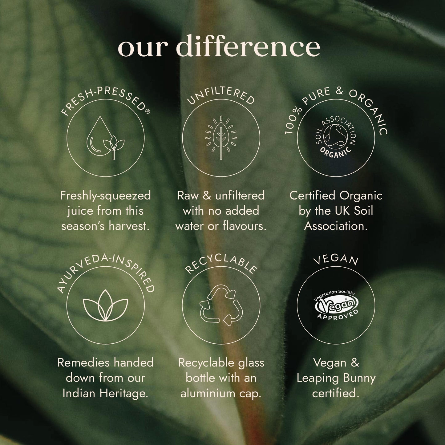 FUSHI Fushi Organic Aloe Vera Juice