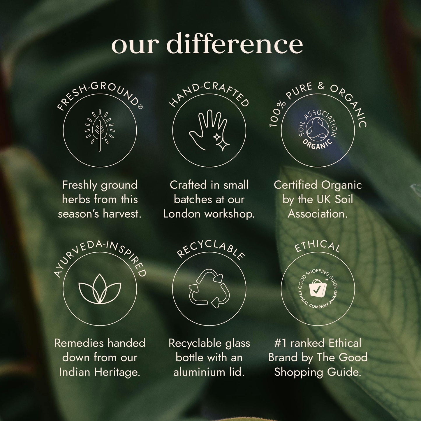 FUSHI Fushi Organic Rhodiola
