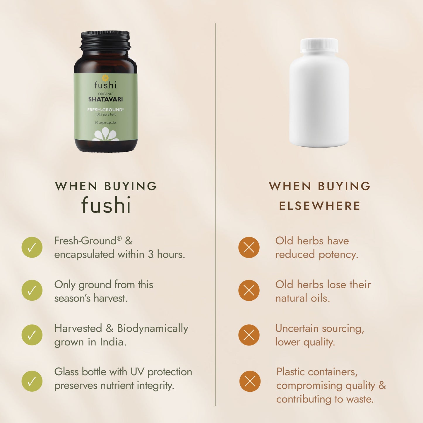 FUSHI Fushi Organic Shatavari