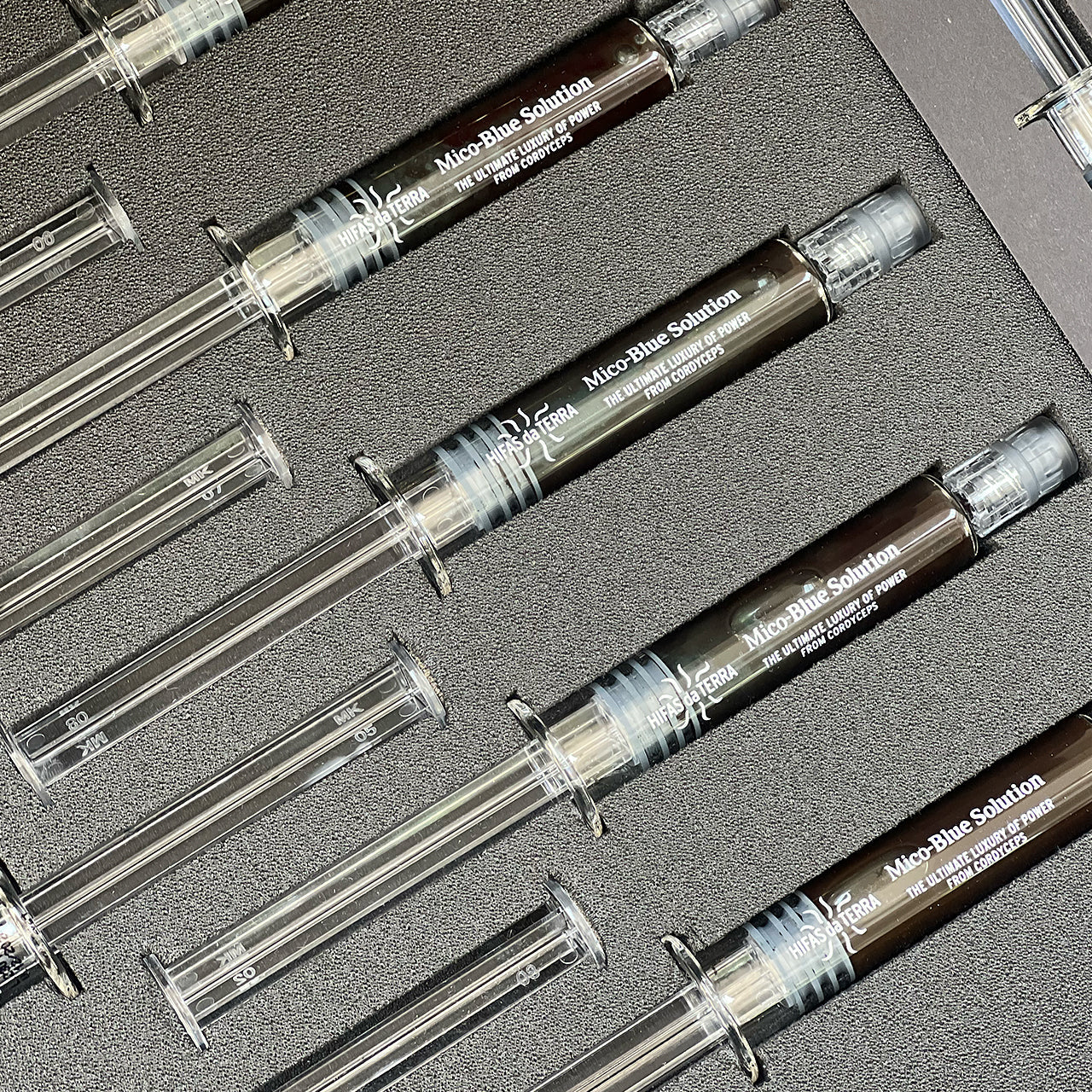 Hifas da Terra Hifas da Terra Mico-Blue Solution