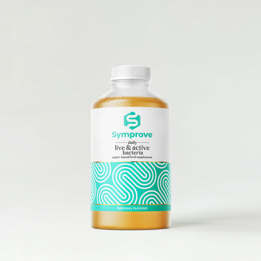 A glass bottle of kombucha with a white and turquoise label featuring abstract patterns.