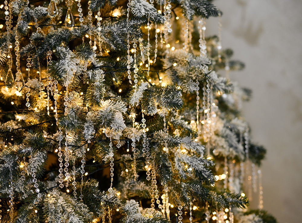 How to Survive The Festive Party Season