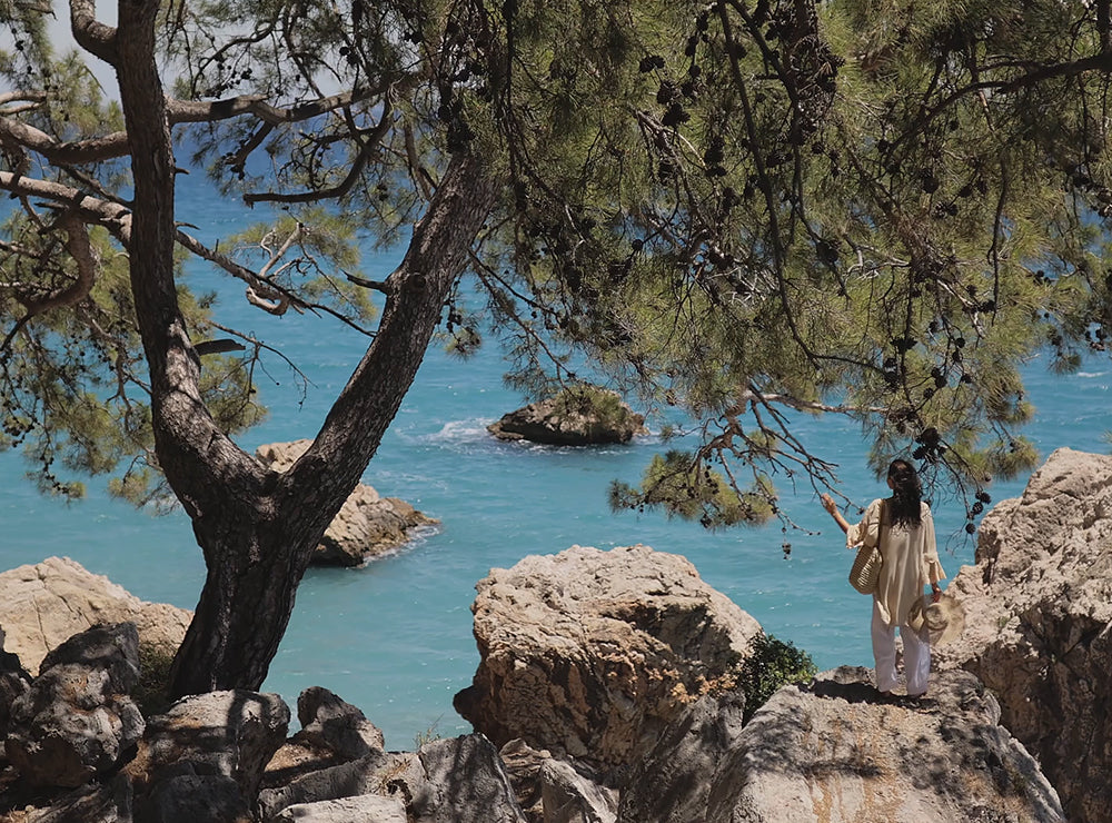 Blue Zones: Wellness Secrets from the World’s Longest-Living People