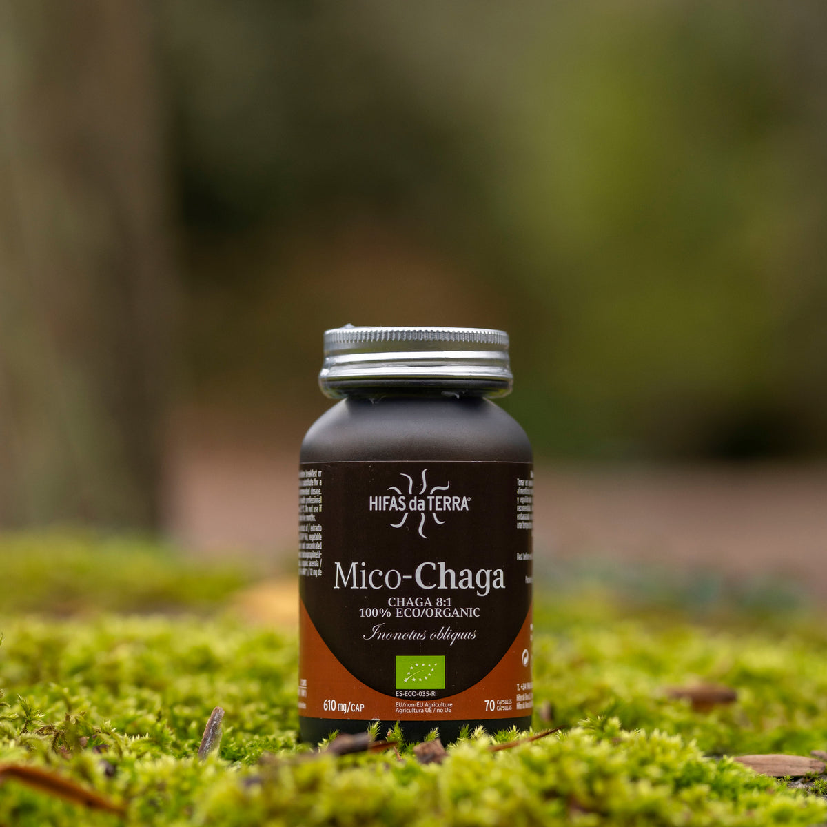 Hifas da Terra Mico-Chaga
