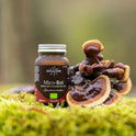 Hifas da Terra Mico-Rei