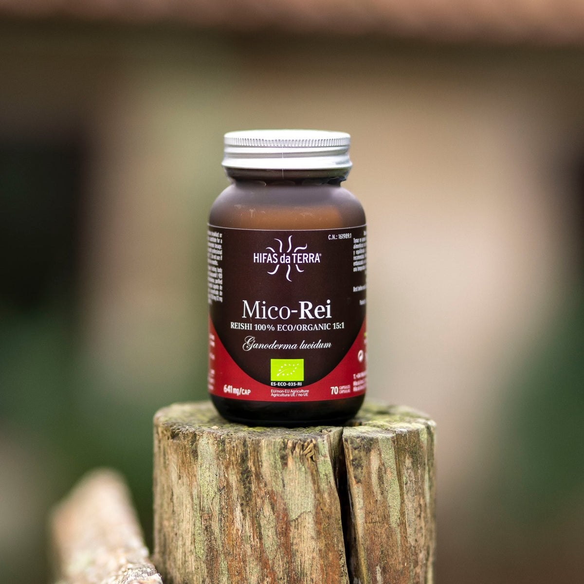 Hifas da Terra Mico-Rei