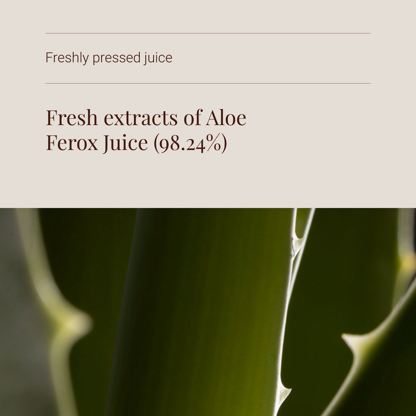 KIKI Health Organic Aloe Ferox Juice