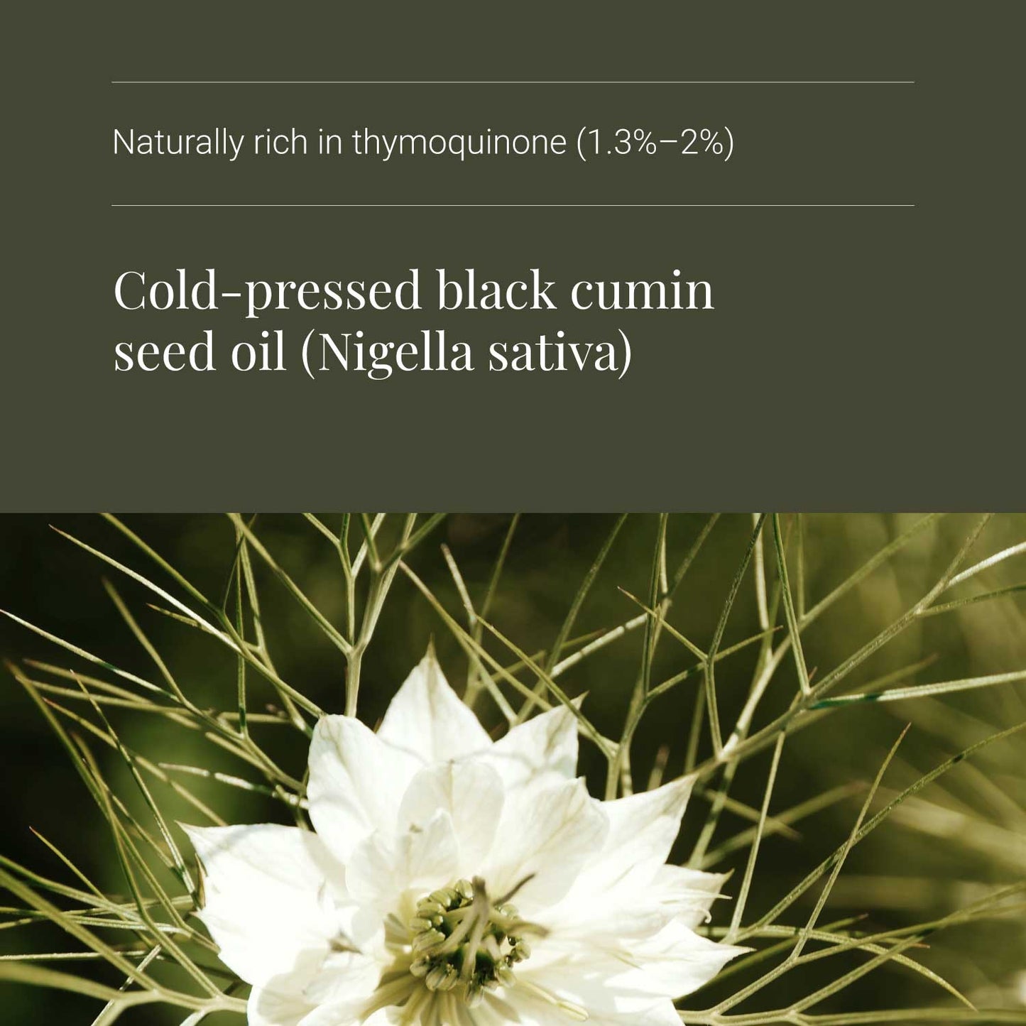 KIKI Health Organic Black Seed Oil