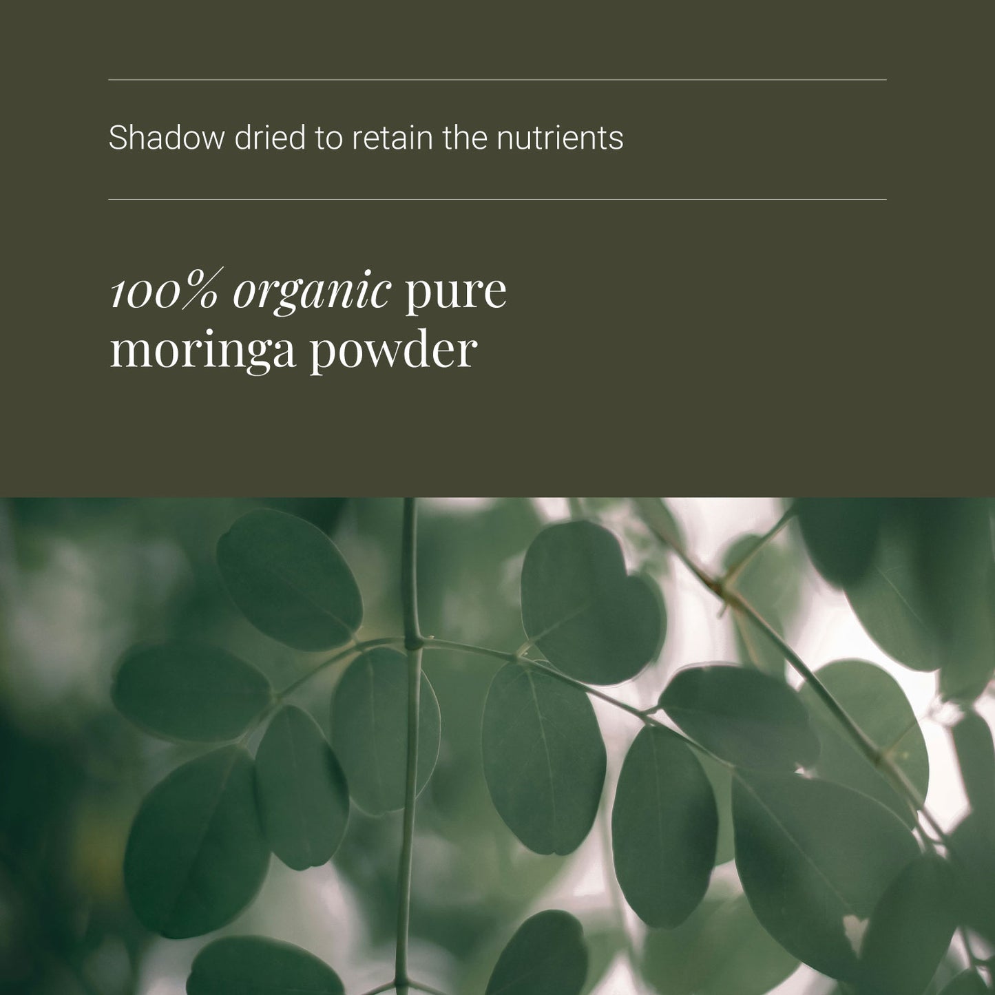 KIKI Health Organic Moringa Leaf