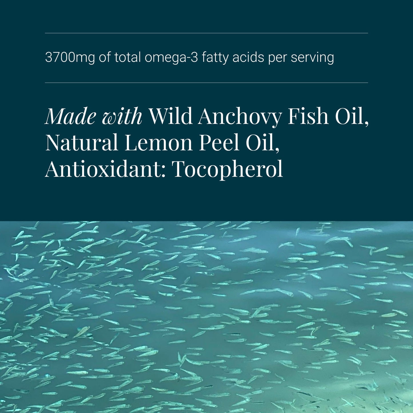 KIKI Health Omega 3 Fish Oil