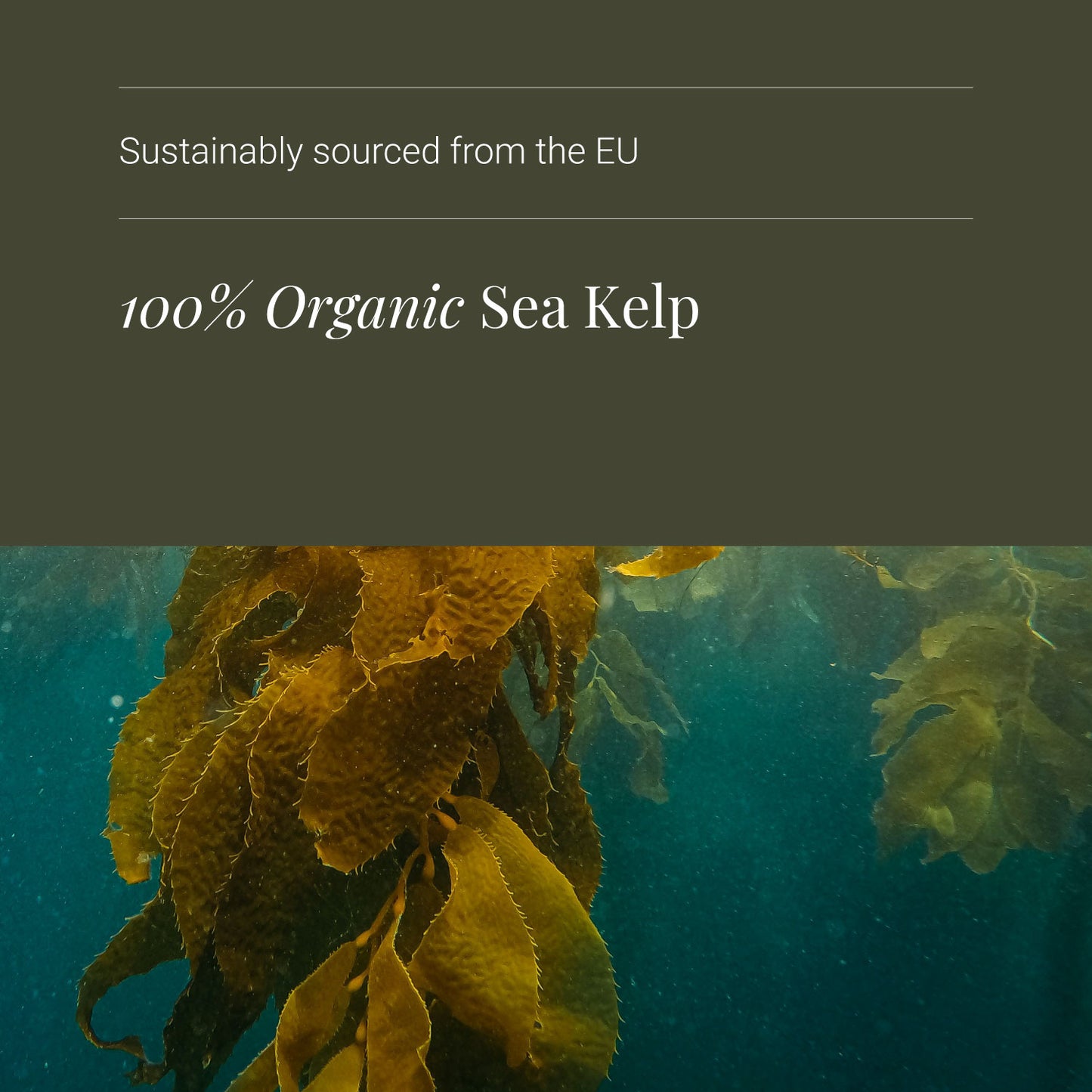KIKI Health Organic Sea Kelp Vegicaps