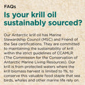 Cytoplan Krill Oil