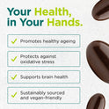 Cytoplan Omega Protect + CoQ10