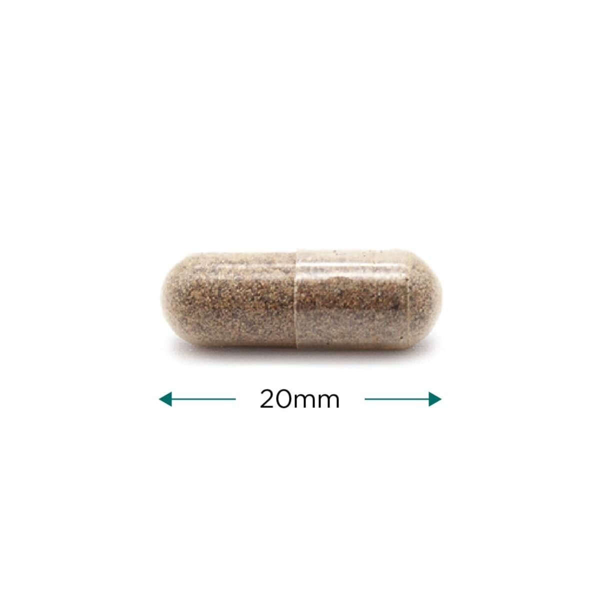 Cytoplan Organic Milk Thistle