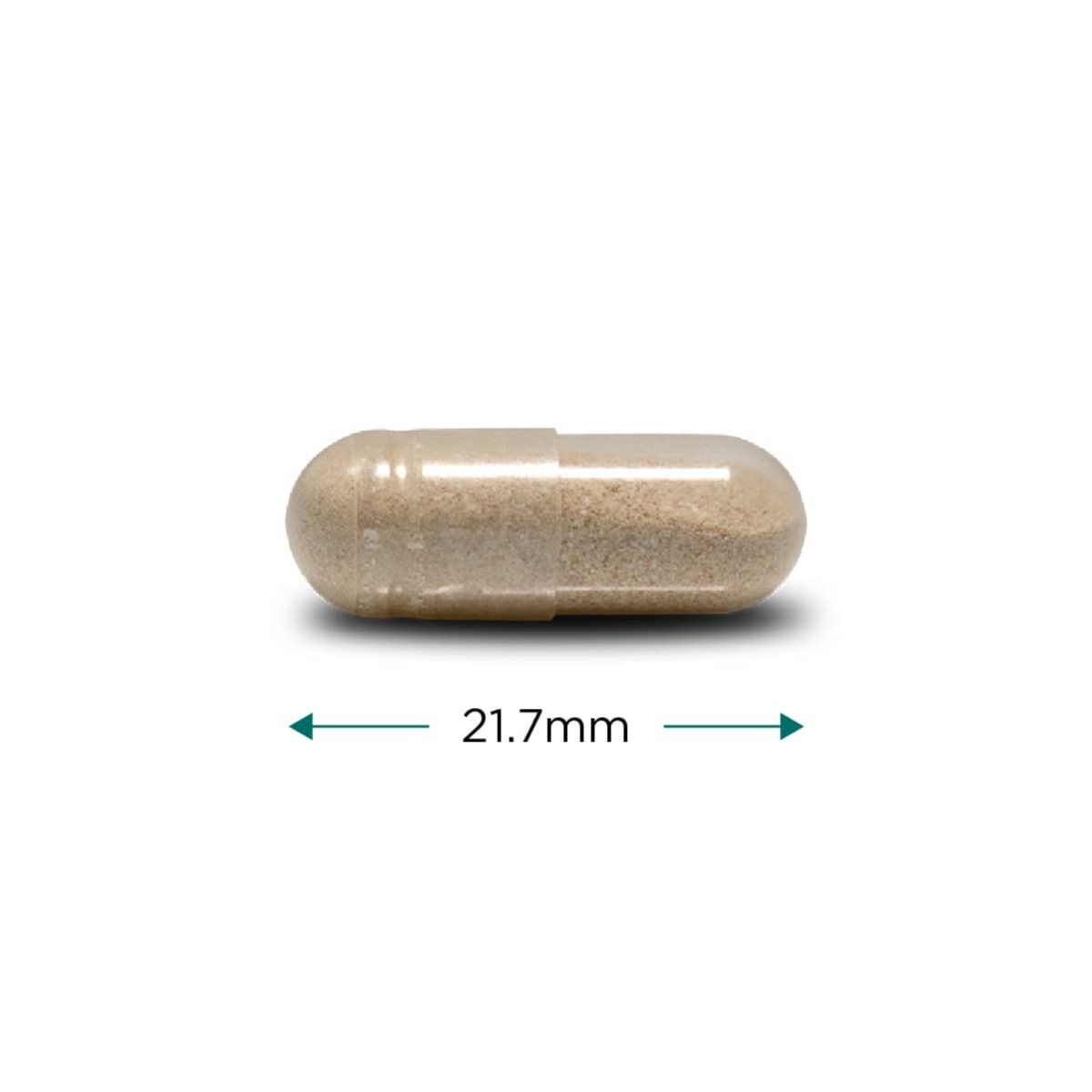 Cytoplan Prostate Support