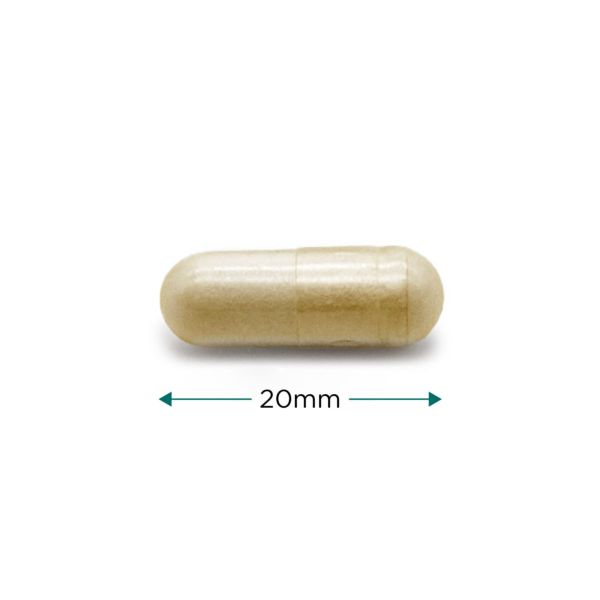 Cytoplan Satiety Support