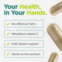 Cytoplan Cherry C