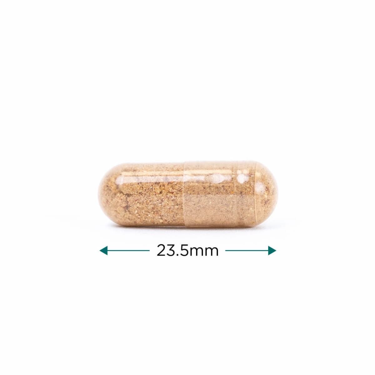 Cytoplan Men’s Multi