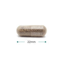Cytoplan CytoProtect® Kidneys