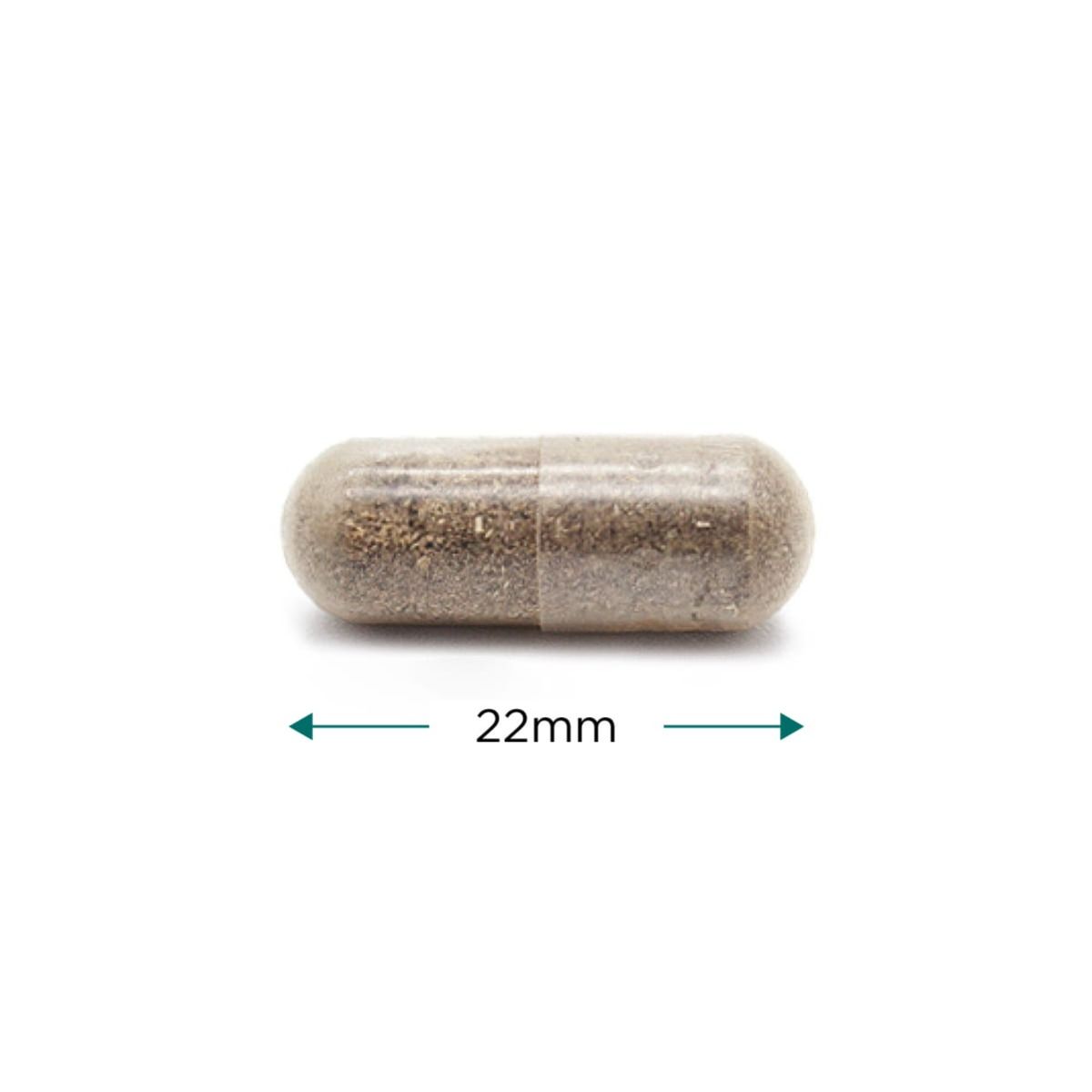 Cytoplan CytoProtect® Kidneys