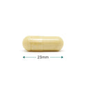 Cytoplan Vegan Collagen
