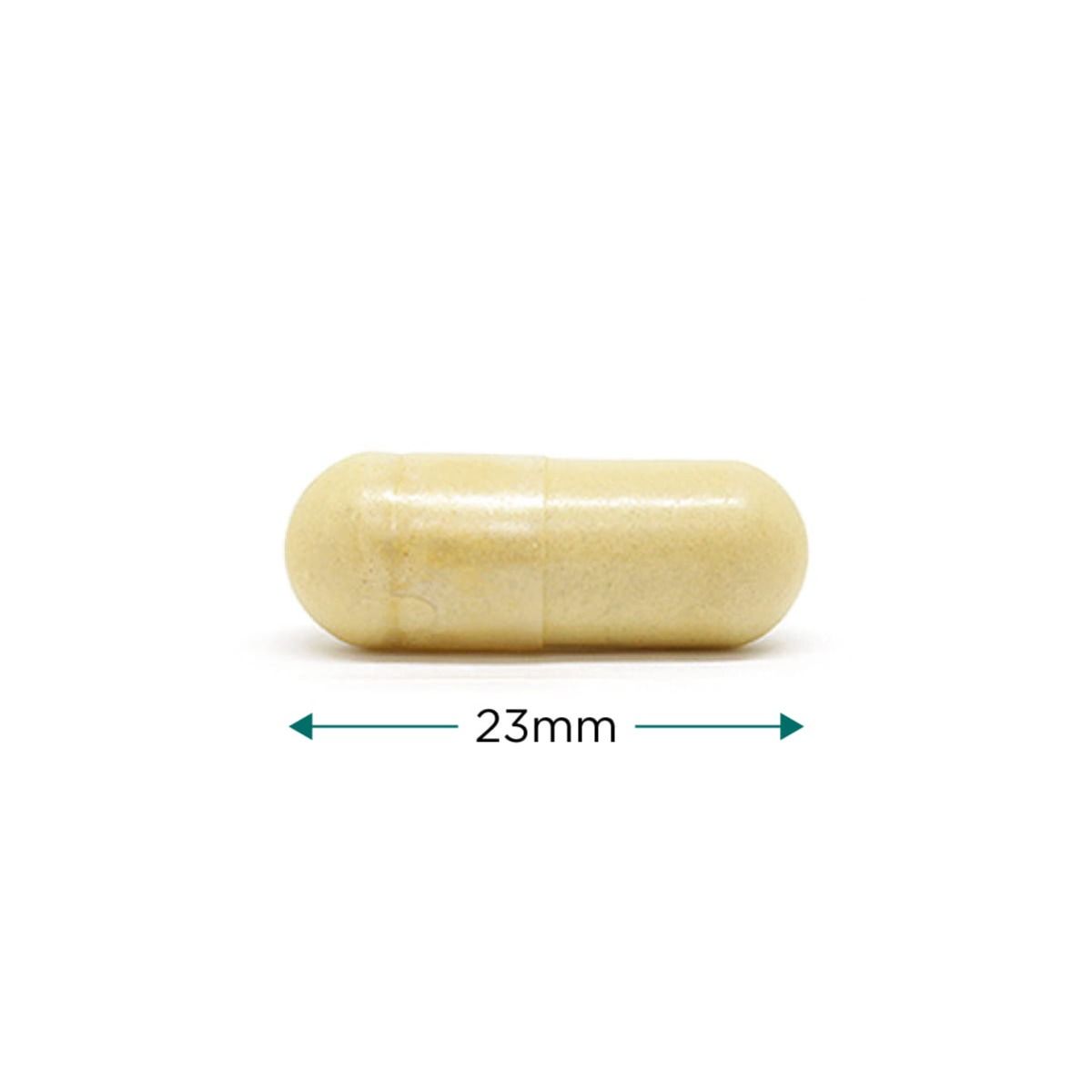 Cytoplan Vegan Collagen
