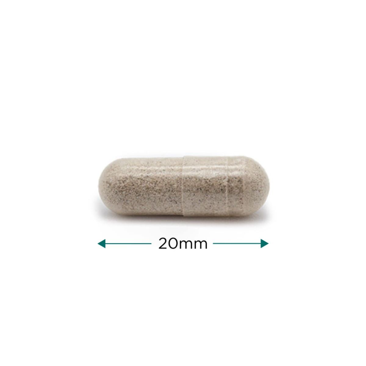 Cytoplan Cytosterone