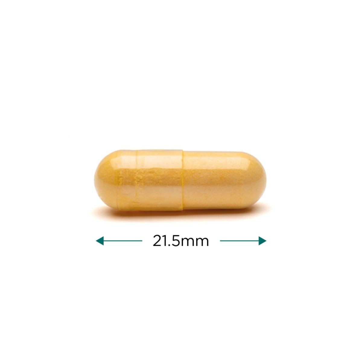 Cytoplan B Complex (High Potency)