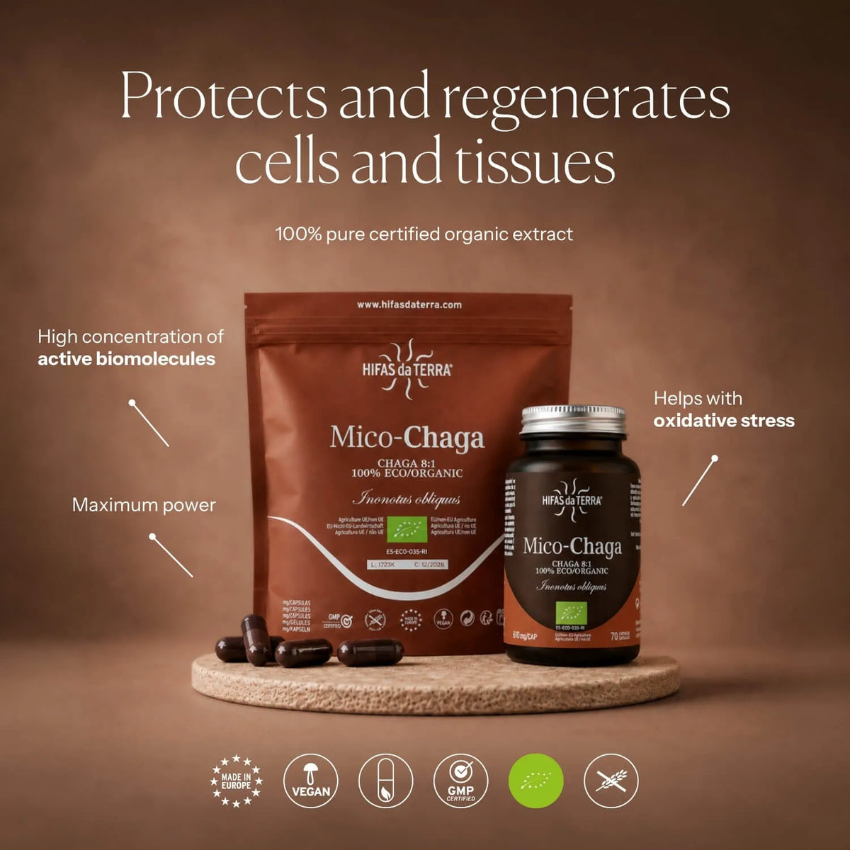 Hifas da Terra Mico-Chaga