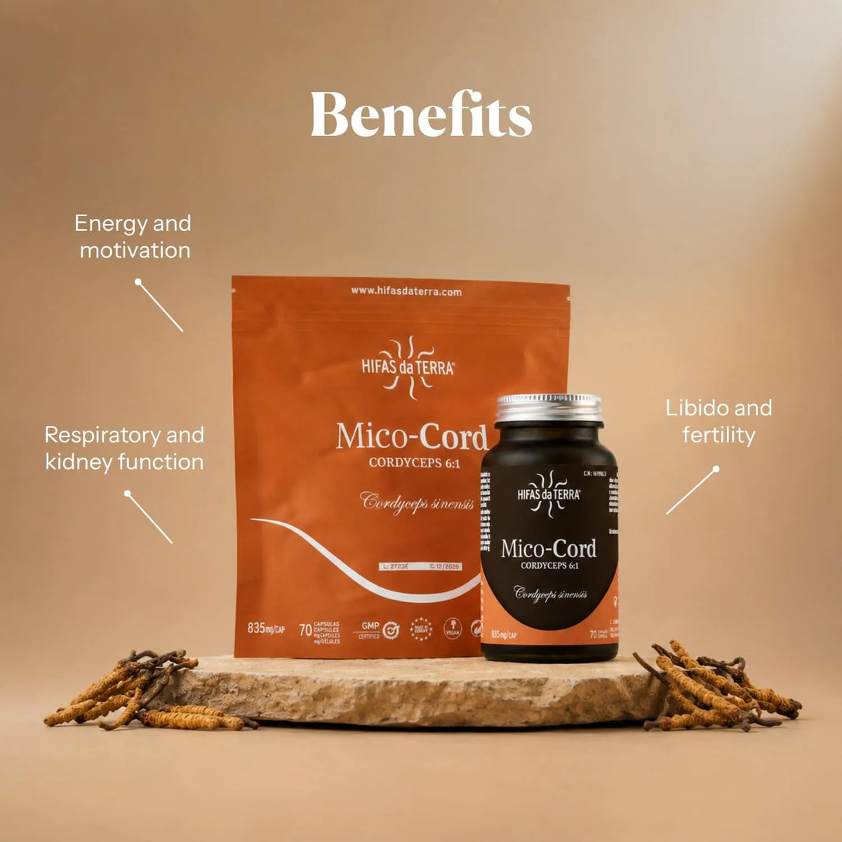 Hifas da Terra Mico-Cord