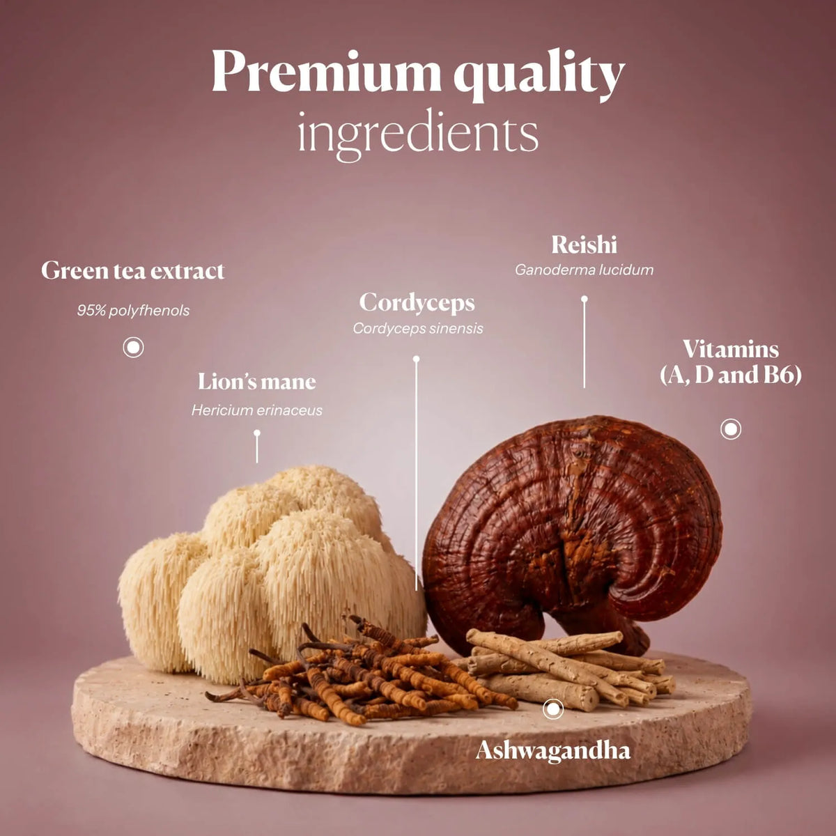 Hifas da Terra HIFAS-Menopause