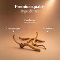 Hifas da Terra HIFAS-Vitality