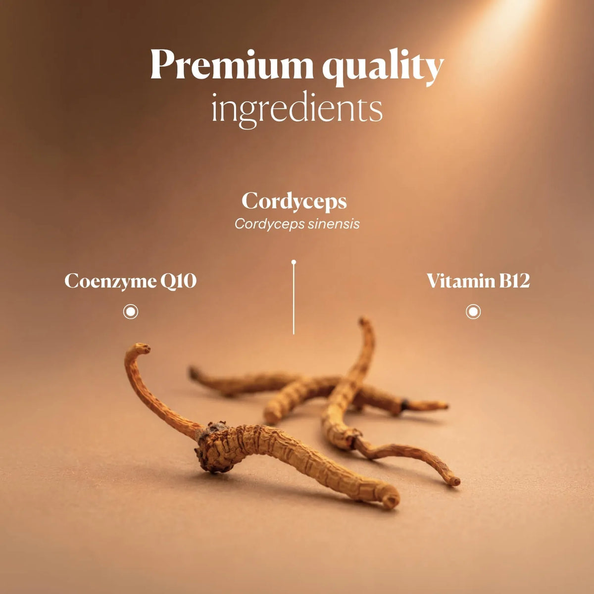 Hifas da Terra HIFAS-Vitality
