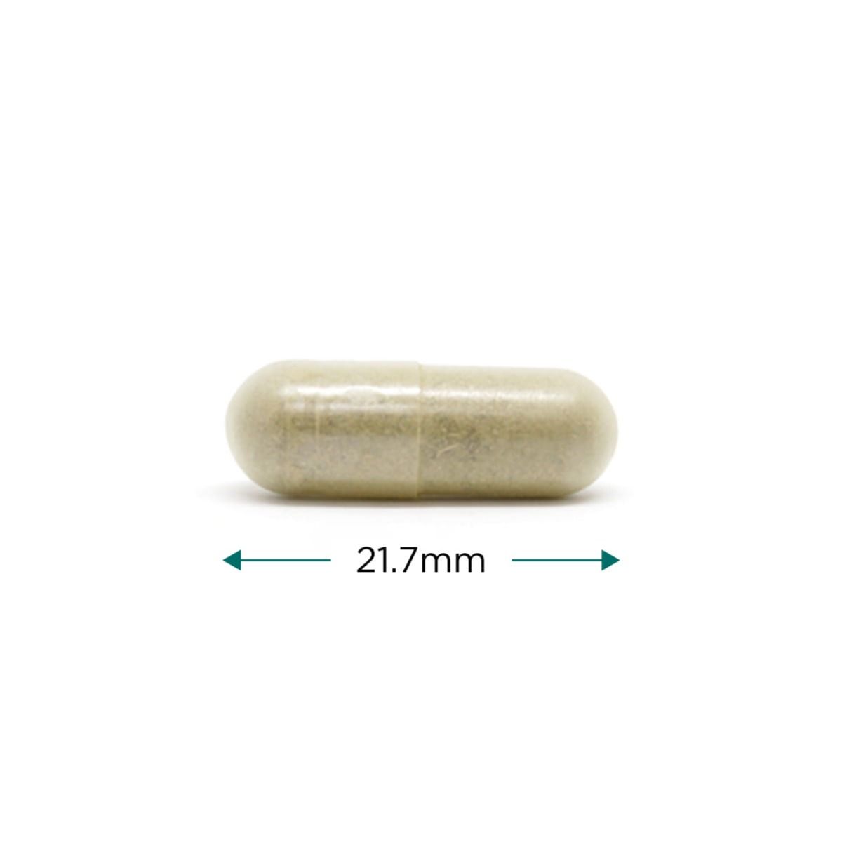 Cytoplan Organic Bacopa Monnieri