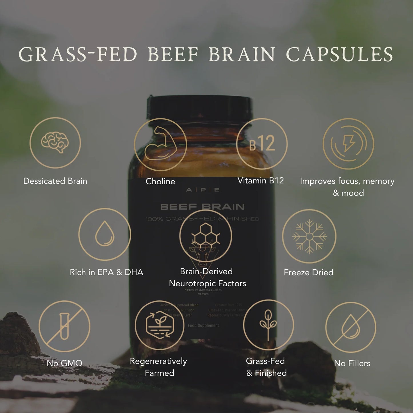 Ape Nutrition Beef Brain