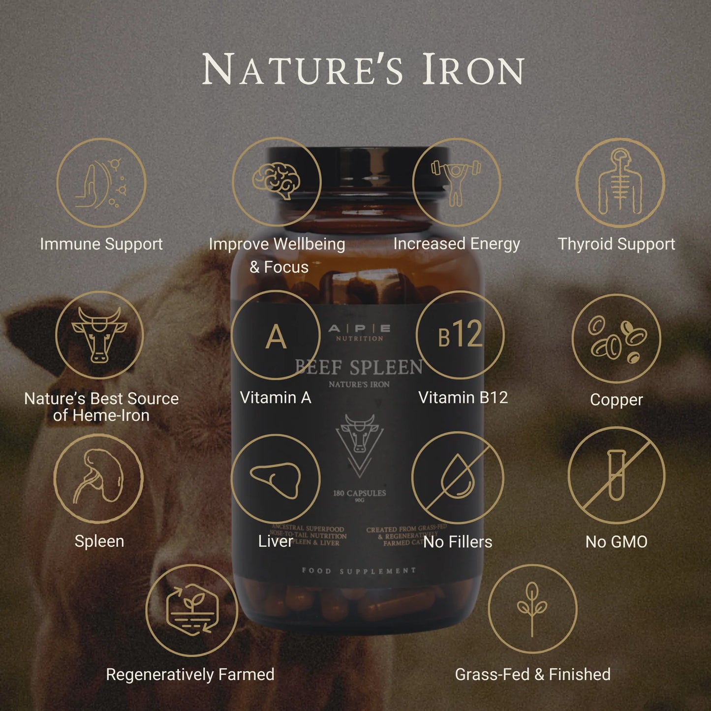 Ape Nutrition Grass-Fed Beef Spleen