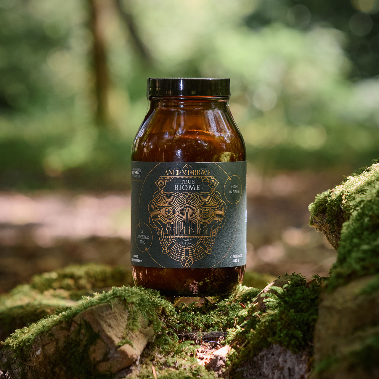Ancient + Brave True Biome