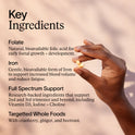  text about key ingredients on Artah , Folate, Iron, whole foods on a blurred background