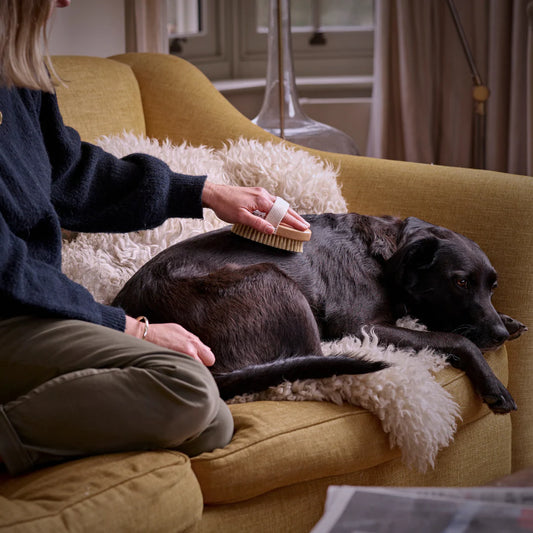 Bramley Digby Dog Brush