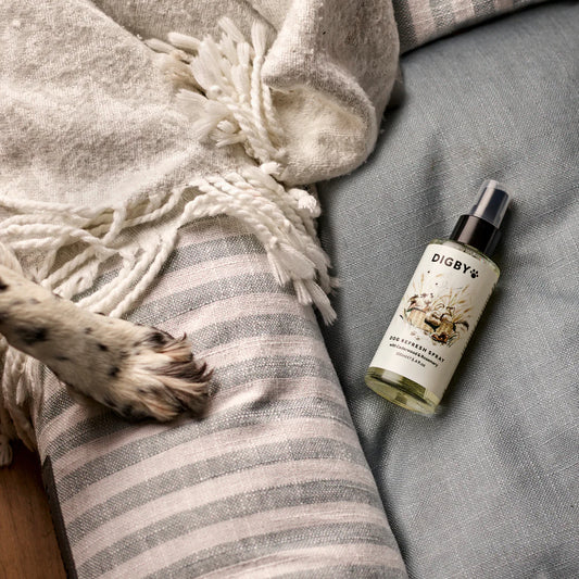 Bramley Digby Refresh Spray